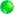 green dot showing the web server is running